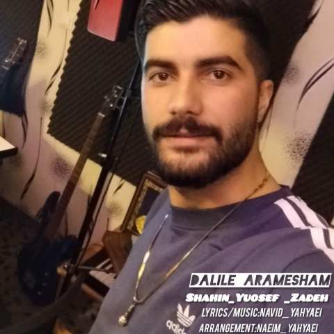 دانلود آهنگ شاهین یوسف زاده به نام دلیل آرامشم